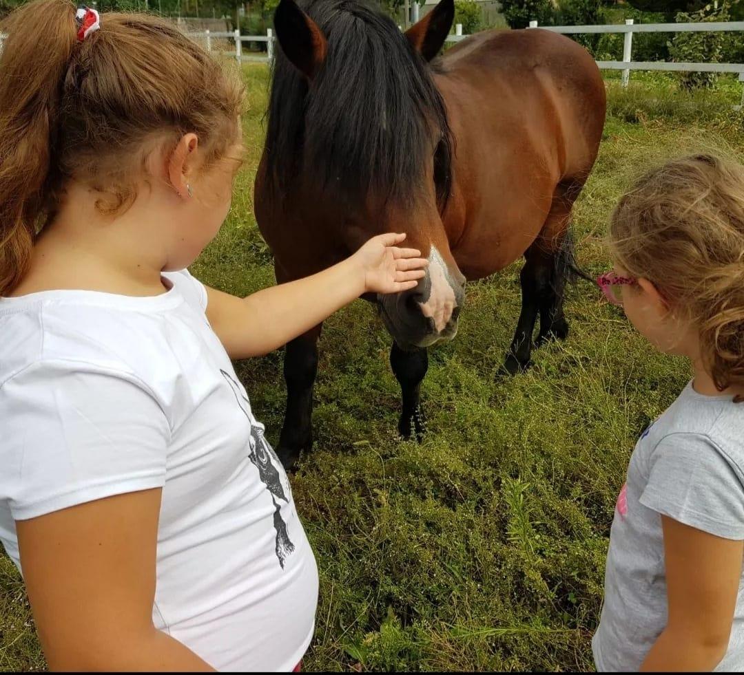 Settimane Verdi Estive e Invernali