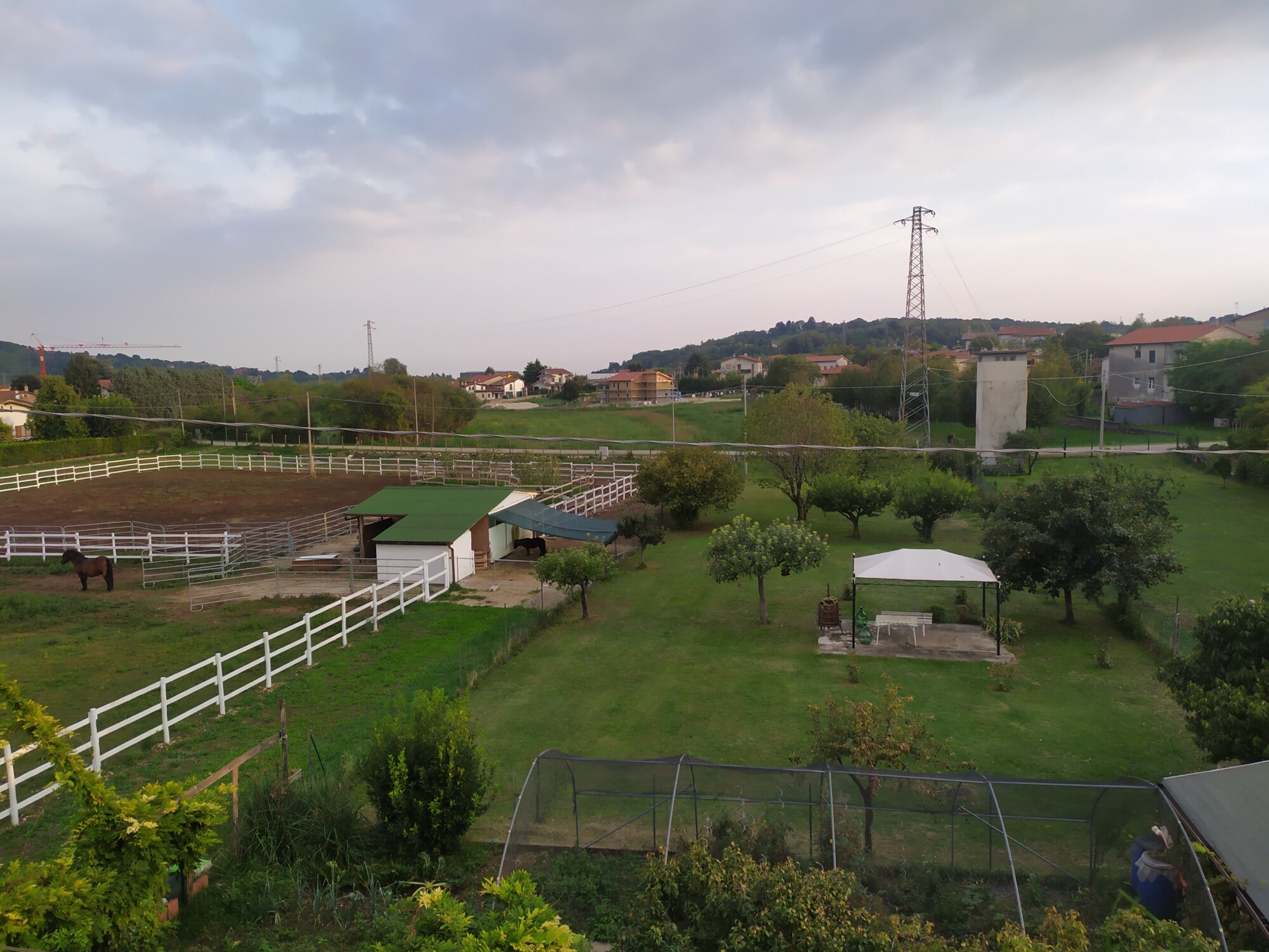 laboratori ludico-ricreativi in fattoria 