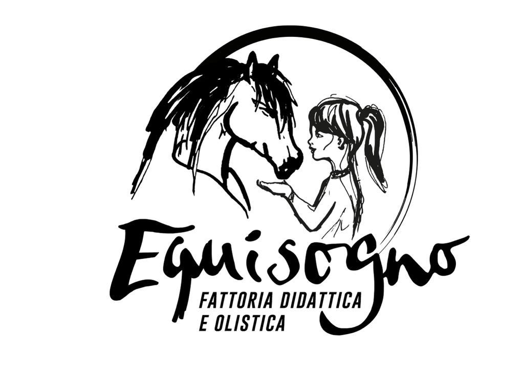https://www.instagram.com/equisogno_fattoriadidattica/
